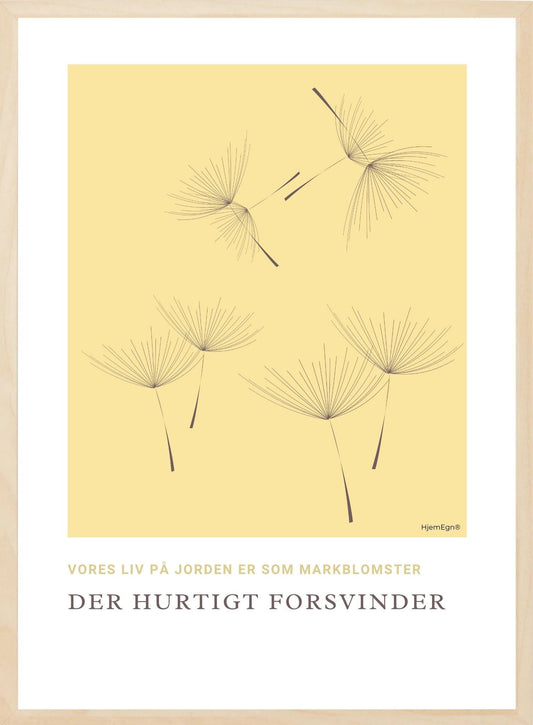 Citat plakat - Vores liv på Jorden er som markblomster, der hurtigt forsvinder - Hjemegn