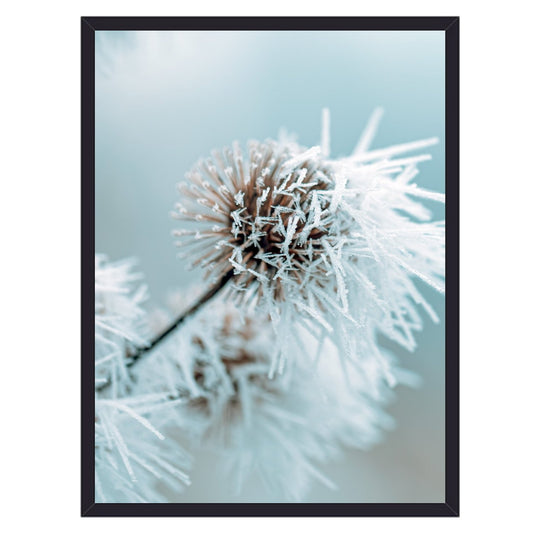 Græs eng blomster plakat